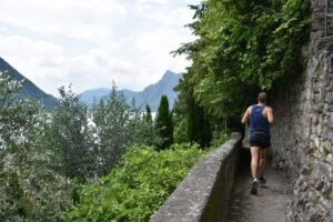 Olive Traill Gandria